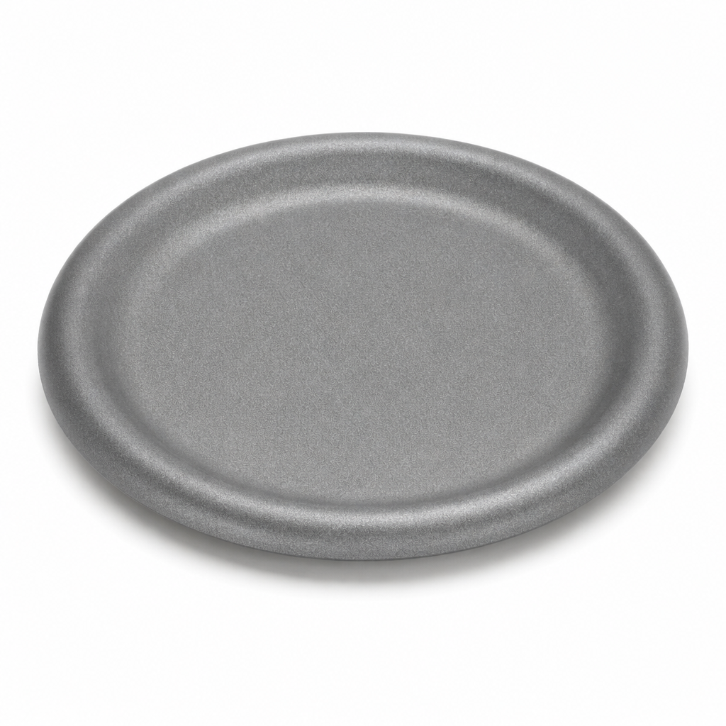AILUKE AL-SG-BP26 26 cm stainless steel steak plate on white background